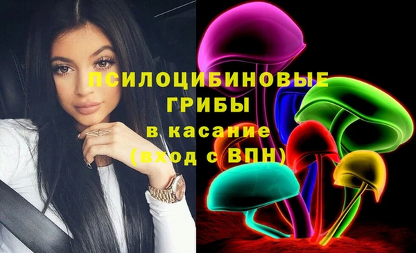 гашик Анива