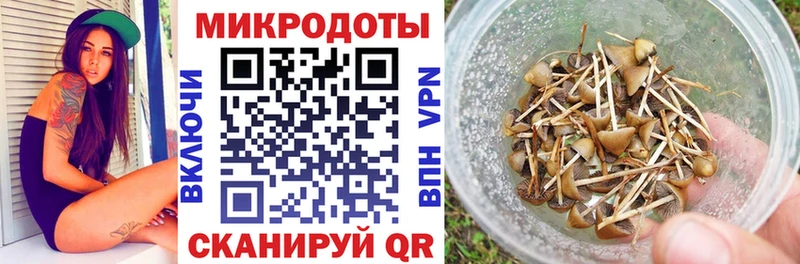 сколько стоит  Белый  Псилоцибиновые грибы MAGIC MUSHROOMS 